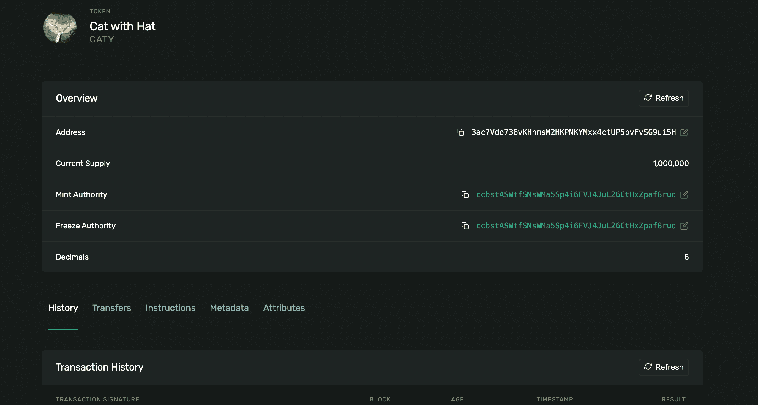 A screenshot of a Solana Explorer showing the memecoin