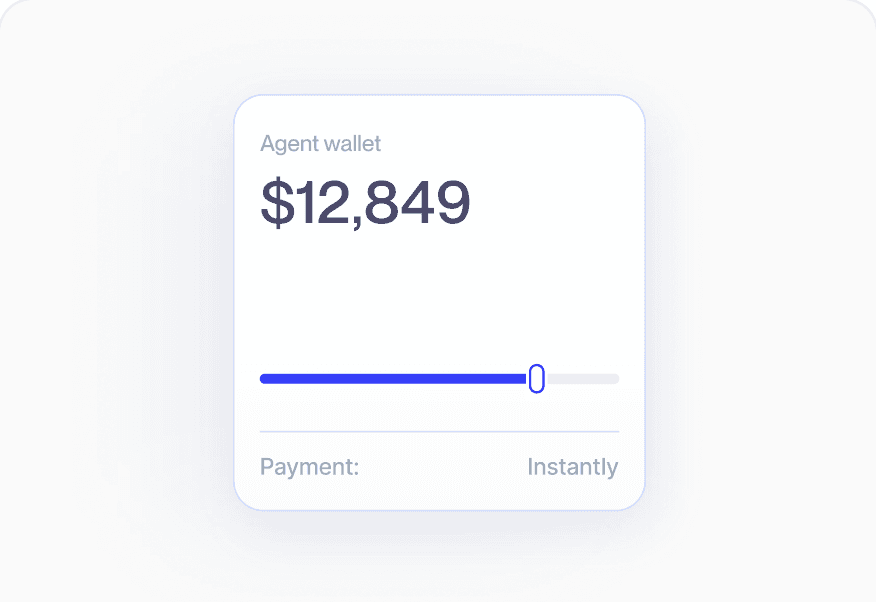 Agent wallet balance interface