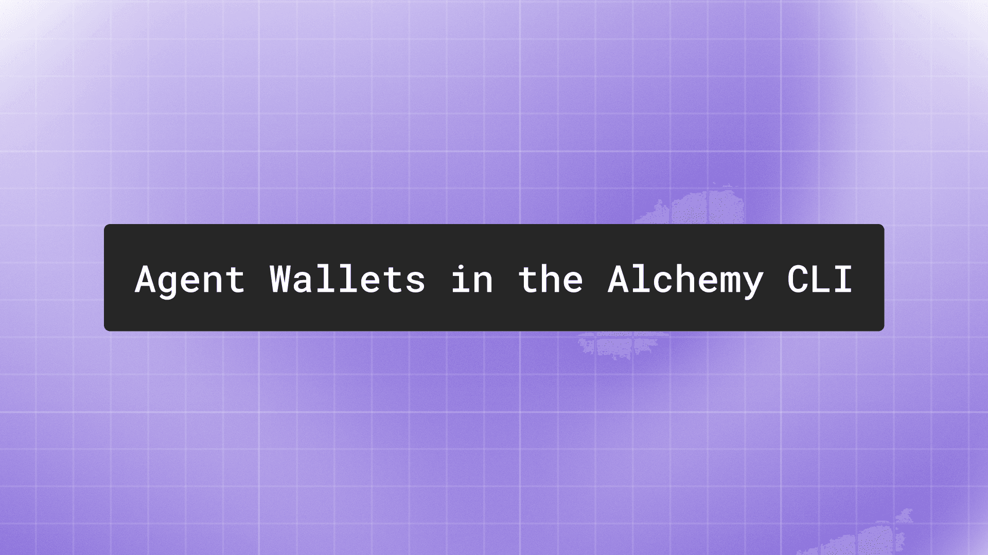 Agent wallets in the Alchemy CLI