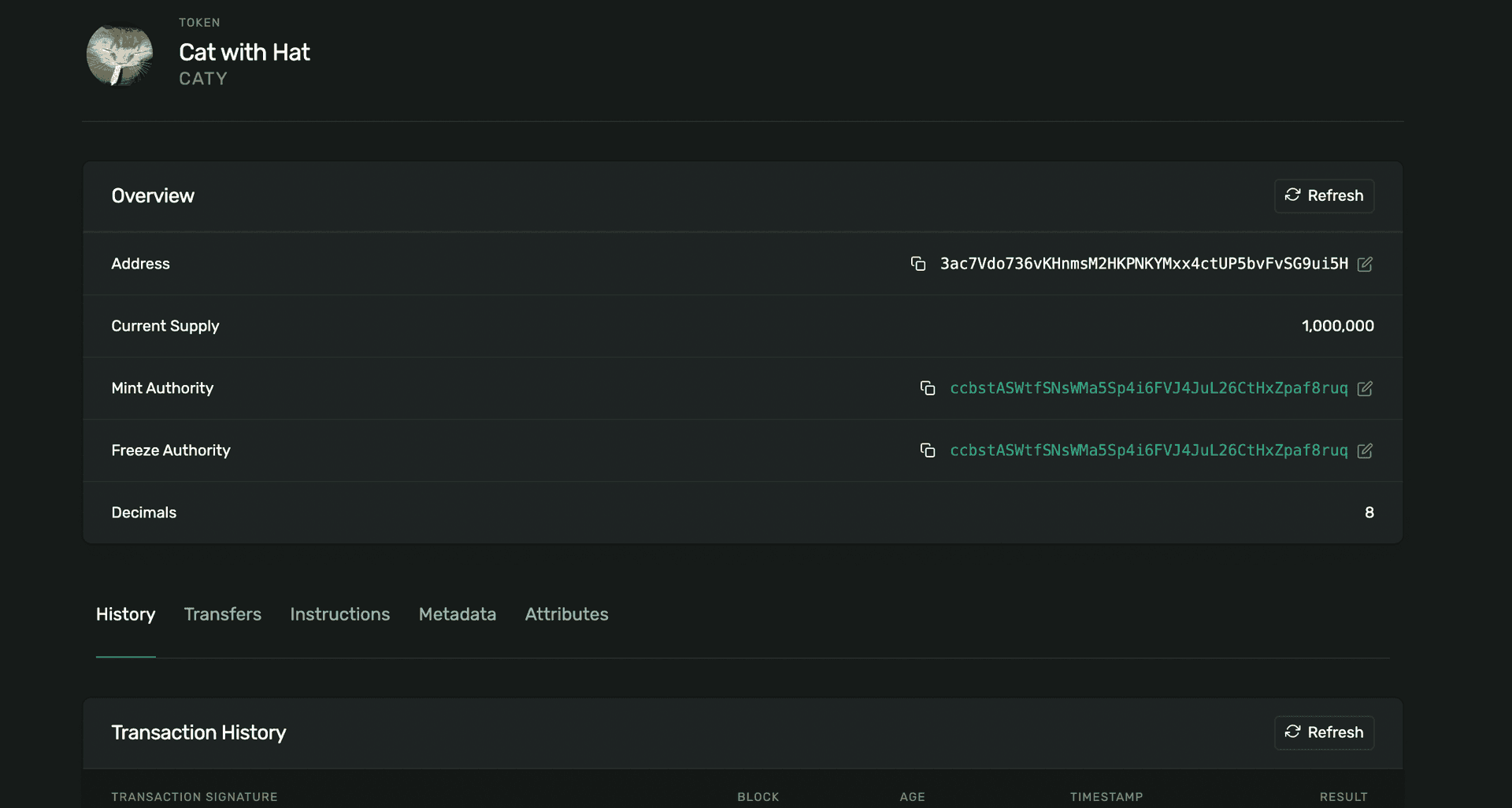 A screenshot of a Solana Explorer showing the memecoin