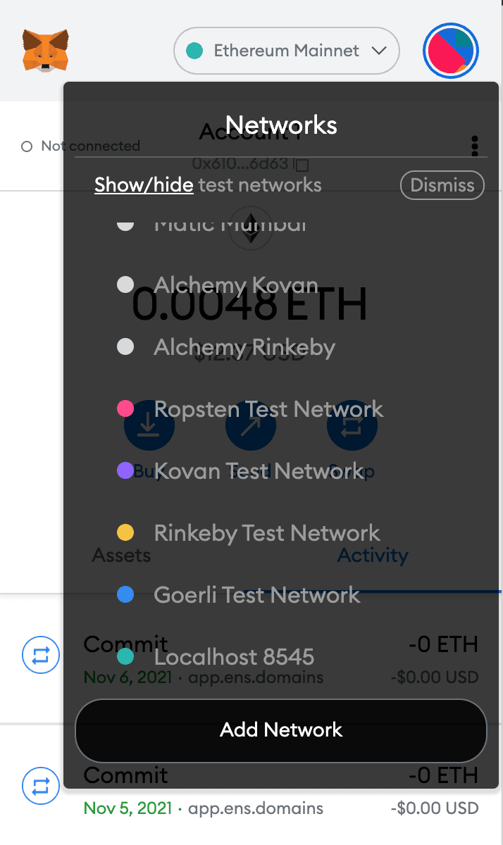 Screenshot of Metamask Wallet showing the available networks for connection