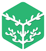 CoralCube Logo