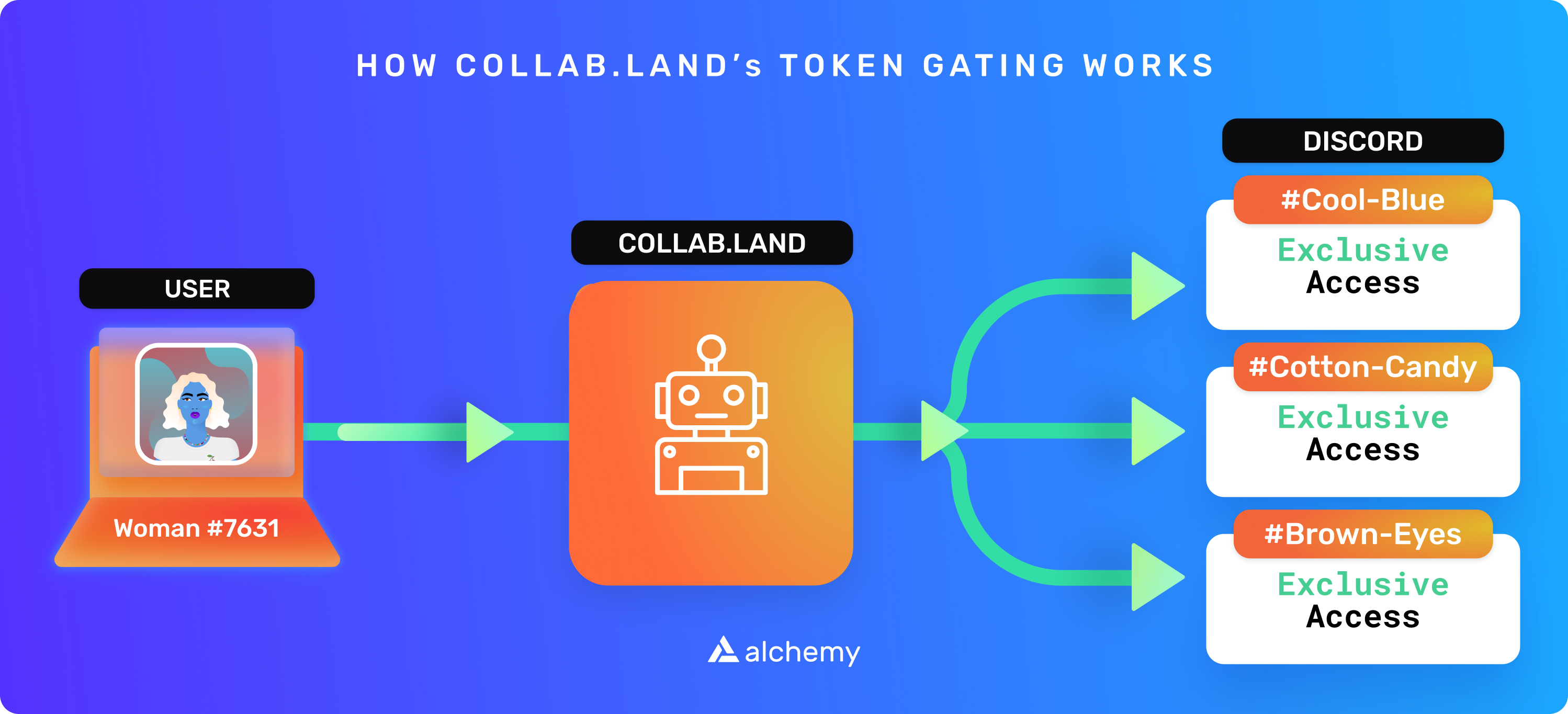 A hypothetical example of token verification on Collab.Land