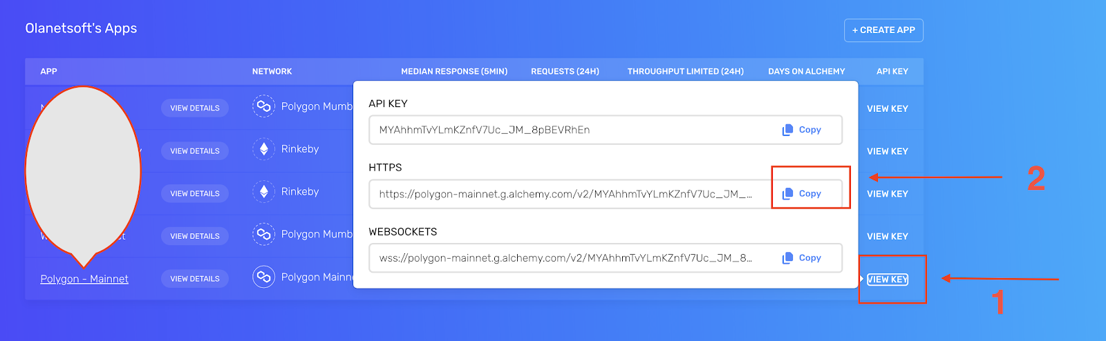 Alchemy's app dashboard location for viewing keys and copying the RPC URL address for a private endpoint.
