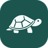 Bondi Finance Logo