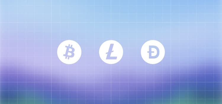 How to build on UTXO chains: Bitcoin, Litecoin, Dogecoin, and Bitcoin Cash