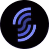 SolanaFM Logo