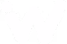 IronWallet Logo