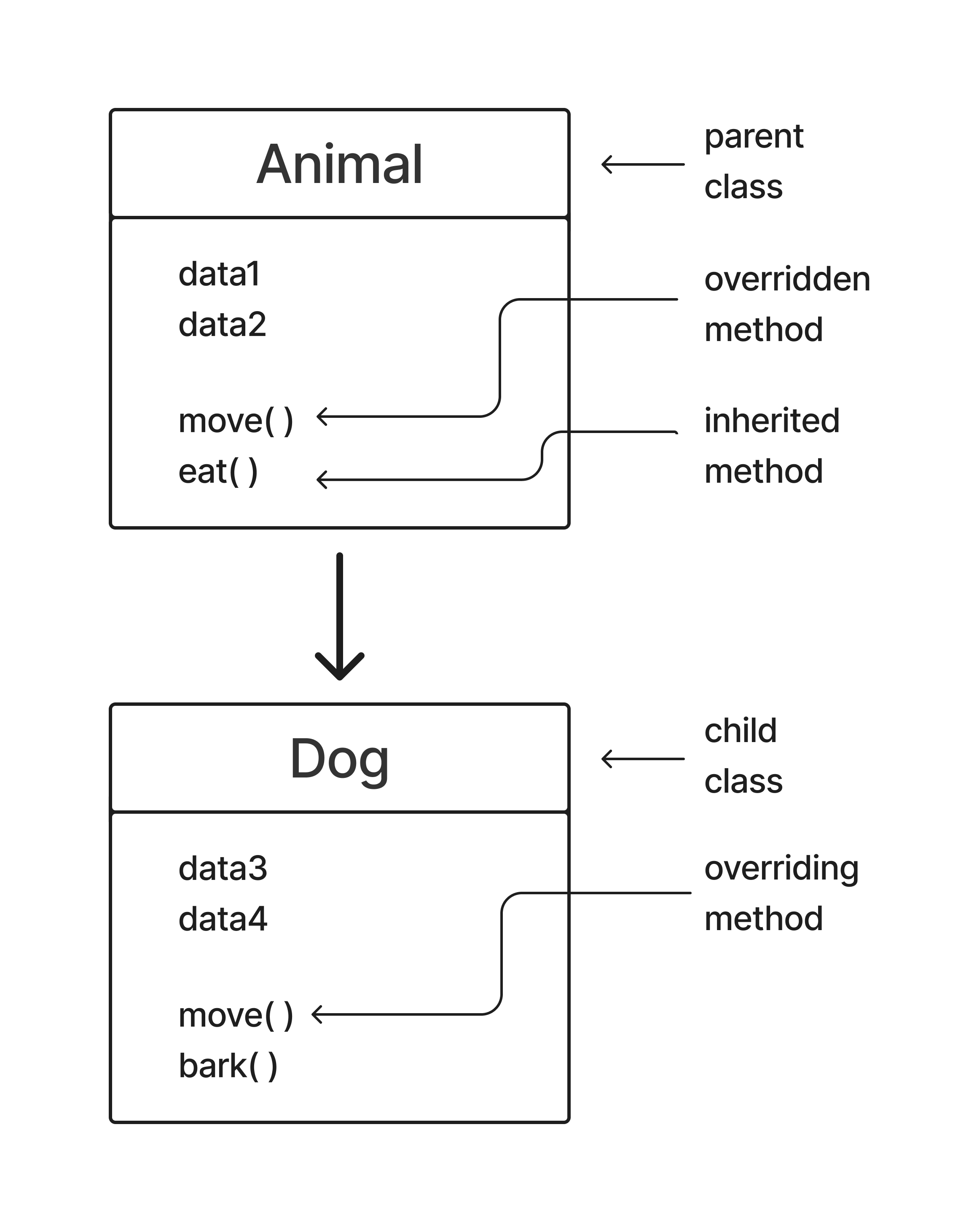 inheritance-in-cs