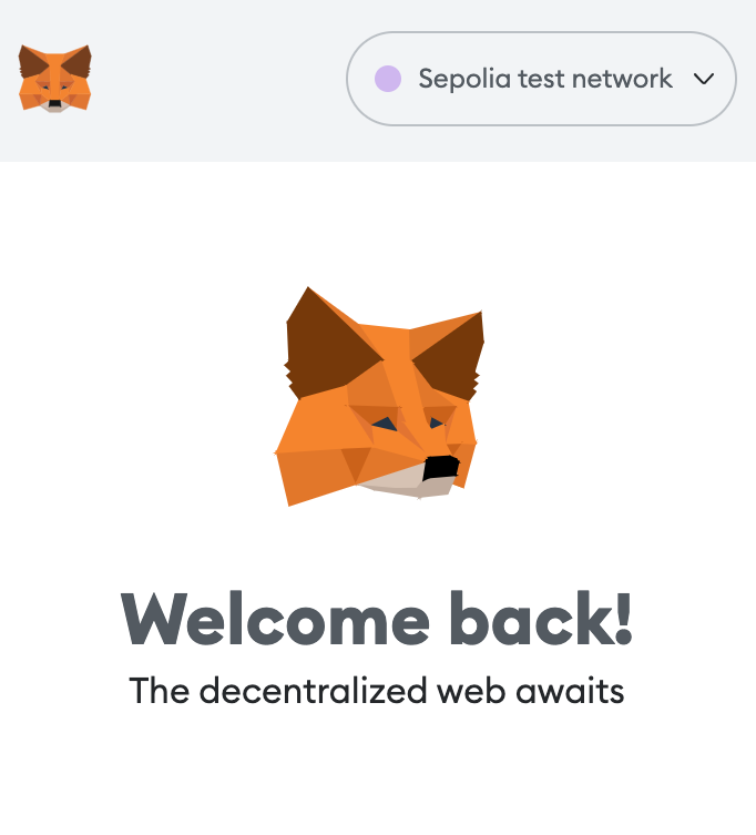 Metamask Network