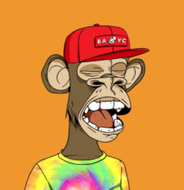 Screenshot 2022-11-23 at 10.42.14 AM.png 378